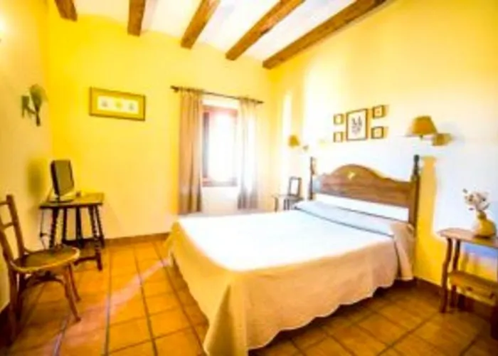 Experiencia de Ensueño en Hoteles Todo Incluido