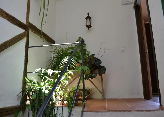 Mejores Hoteles en Sequeros para Explorar España